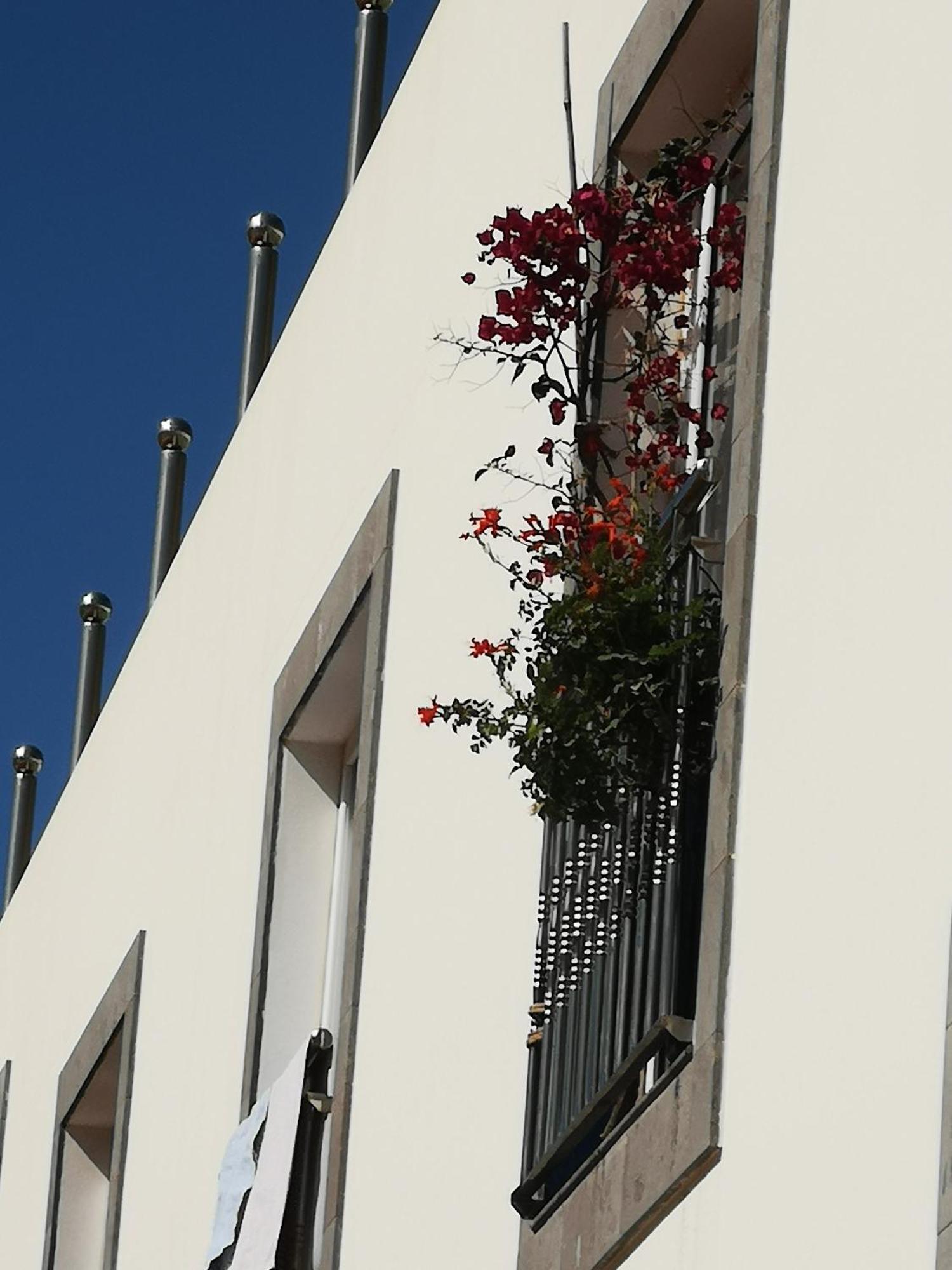 Apartmán Puerto De Mogan Sonneland Exteriér fotografie